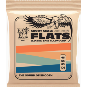 Ernie Ball 2801 Flatwound GR2 Short Scale